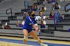 Women’s VB intersquad  Women’s Volleyball inter-squad match. : Women’s Volleyball, VB, inter squad, intersquad